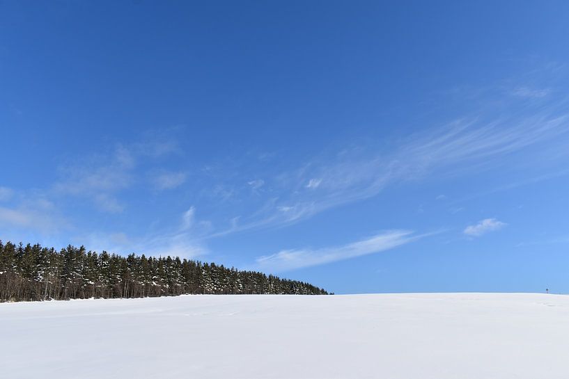 A snowy field under a blue sky by Claude Laprise