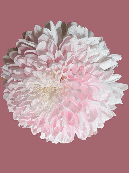 247. Flitterwochen von Domstad Rudie