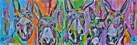 Colourful donkeys