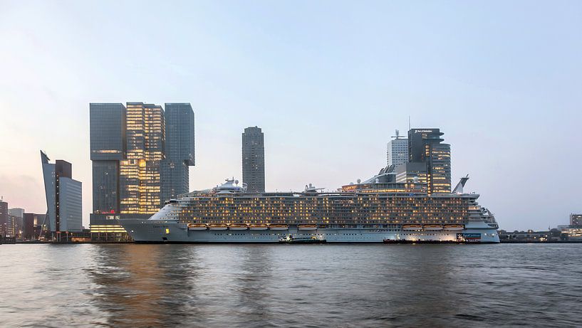 Oasis of the Seas in Rotterdam von Martin Hulsman