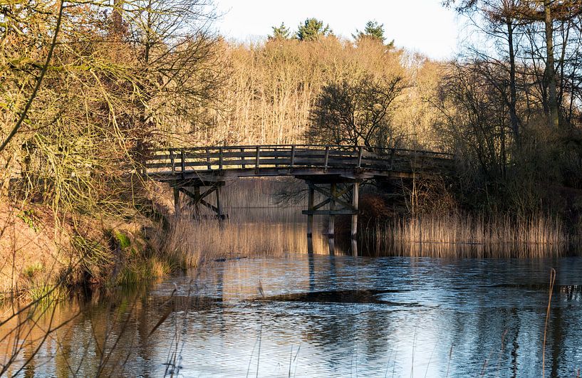 wooden bridge over the water by ChrisWillemsen