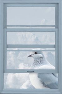 Window View with Pigeon sur Marja van den Hurk