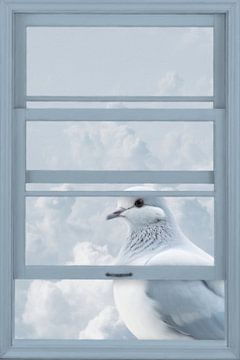 Window View with Pigeon by Marja van den Hurk