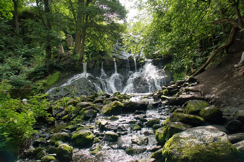Kleine waterval in het bos met mos op stenen van Martin Köbsch