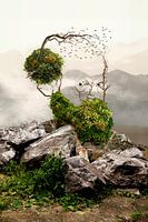 Unique Landscape Manipulation: Norse Old Man - Original Wall Decoration with Humour and Profundity