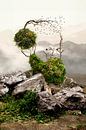 a very grumpy nature von Elianne van Turennout Miniaturansicht