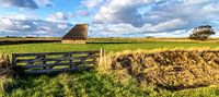 Texelschafstall bei De Hoge Berg