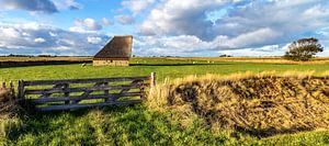 Texelschafstall bei De Hoge Berg