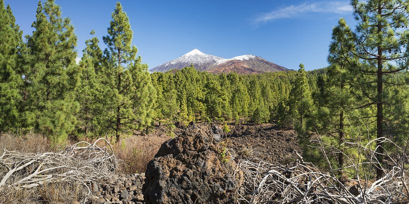 Pico del Teide et Pico Viejo, Ténérife par Walter G. Allgöwer
