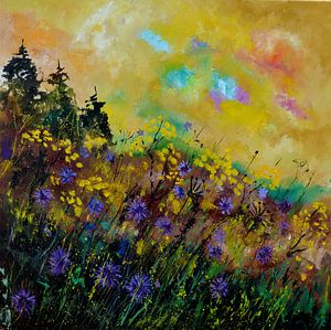 Wildblumen 779111
