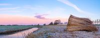 Winter sunrise over the Zwartendijk in the IJsseldelta region ne by Sjoerd van der Wal thumbnail