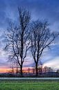 Landelijke winter landschap met prachtige bomen en rode zonsondergang van Tony Vingerhoets thumbnail