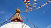 Bodnath Stupa in Kathmandu Nepal von Jan van Reij Miniaturansicht