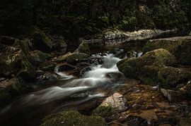 Courir flux en France sur Melvin Fotografie