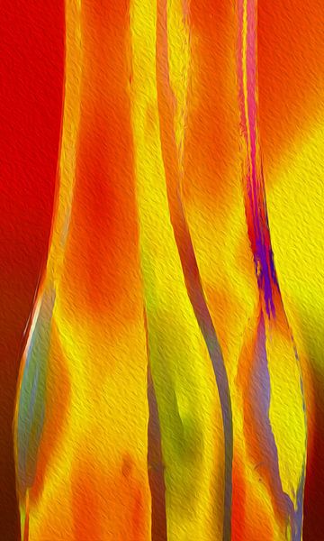 Glasflaschen orange von Dagmar Marina