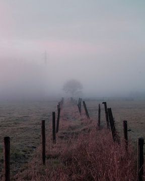 waiting in the fog by Yorick De Wilde