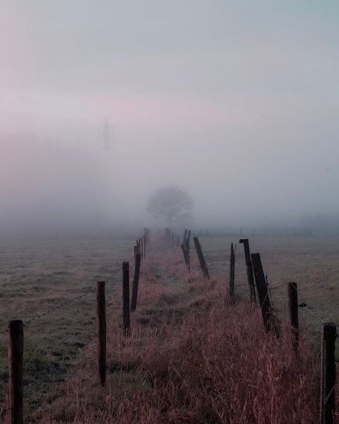 waiting in the fog by Yorick De Wilde