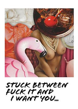 Bad Habits Polaroid Series: Love Sex Attention Flamingo by Beautiful Thrills
