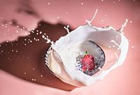 Les fraises tombent dans le piège du lait