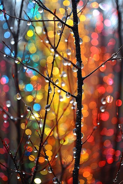 Glitzernde Tautropfen auf bunten Zweigen von Art & Soul Creations