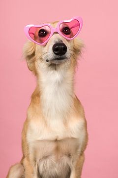 Door een roze bril van Elles Rijsdijk