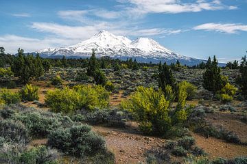 Mount Shasta van Loris Photography