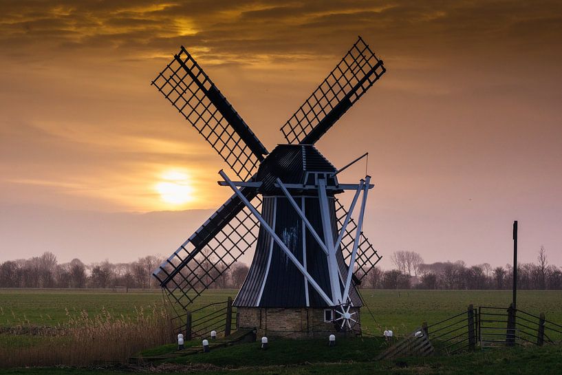 Molen de Gans van Wolbert Erich