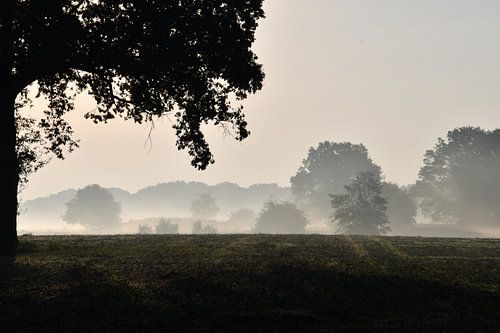 Zonsopkomst met nevel in het Vechtdal bij Rheeze