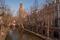 Dom in de herfstzon