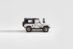 Millie and her Defender