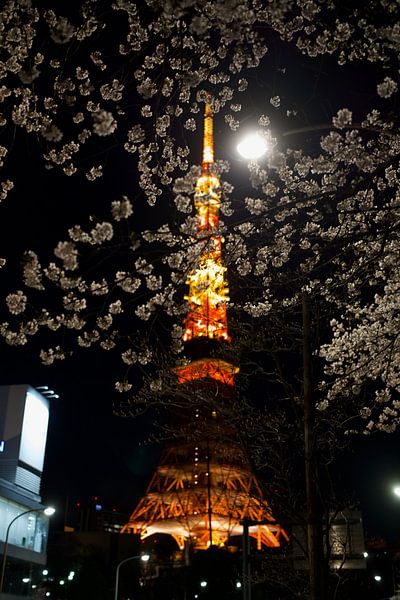 Tokyo Tower by Hello Pompoyo