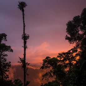 With your head in the clouds by Jip Leermakers