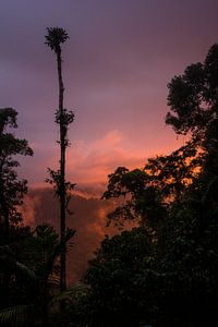 With your head in the clouds von Jip Leermakers