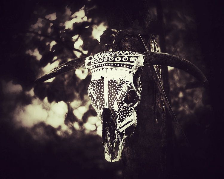 Cowboys and Indians by Maneschijn FOTO