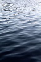 Waves