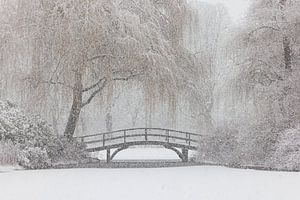 Pont Major Bosshardt Broersepark Hiver
