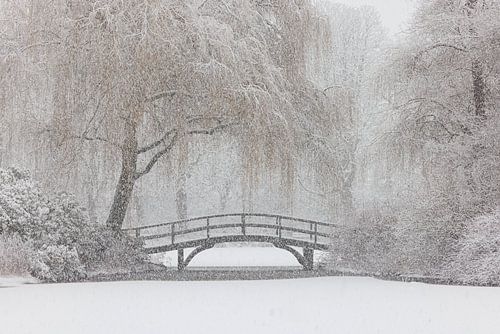 Majoor Bosshardtbrug Broersepark Winter