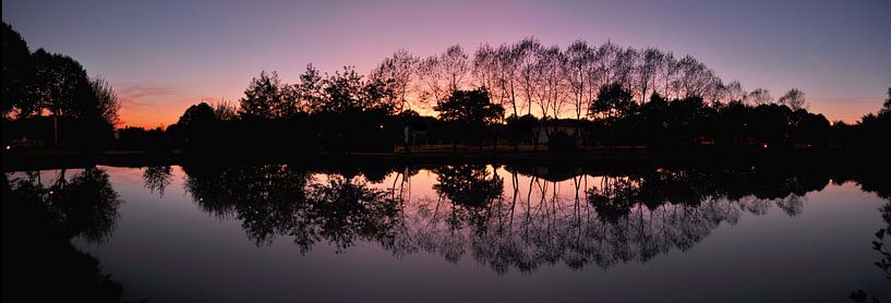 Panorama reflectie bomen in water van Corinne Welp