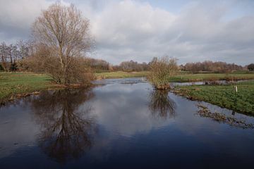 Wolken en spiegeling bij Markdal Breda van Francisca Tax