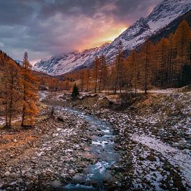 L'automne dans le Valais suisse. sur justus oostrum