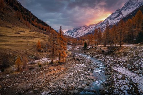 L'automne dans le Valais suisse. sur justus oostrum