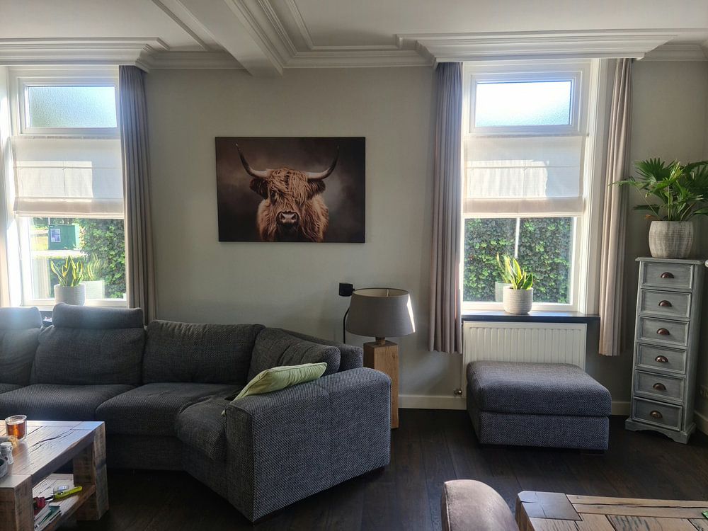 Schottischer Hochlandbewohner  von Diana van Tankeren 