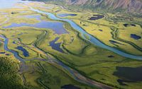 Arctische delta van Sander van der Werf thumbnail