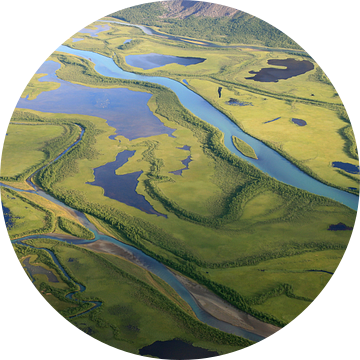 Arctische delta van Sander van der Werf