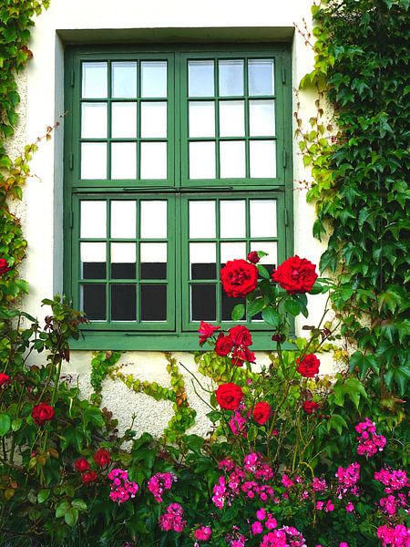 Stillleben grünes Blumenfenster von Thomas Zacharias
