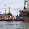 The tugboat in the Rotterdam Waalhaven by MS Fotografie | Marc van der Stelt