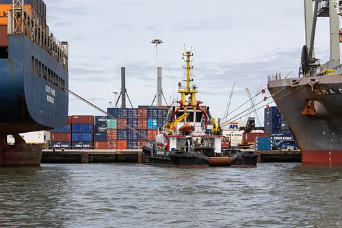 De sleepboot in de Rotterdamse Waalhaven