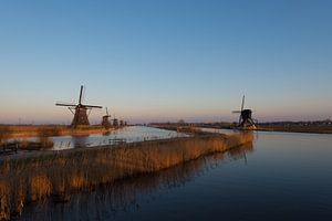 Avond licht op de kinderdijk
