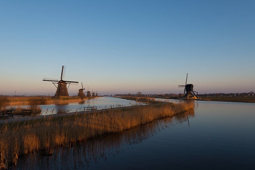 Avond licht op de kinderdijk by Brian Morgan