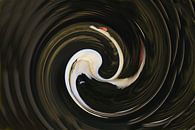 Verdrehter weißer Klumpenschwan von Bobsphotography Miniaturansicht